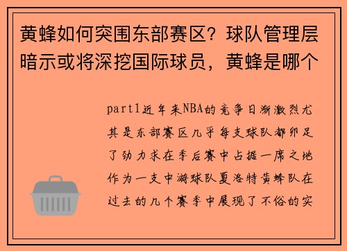 黄蜂如何突围东部赛区？球队管理层暗示或将深挖国际球员，黄蜂是哪个队改的